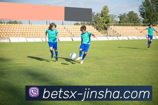 多媒体互动体验